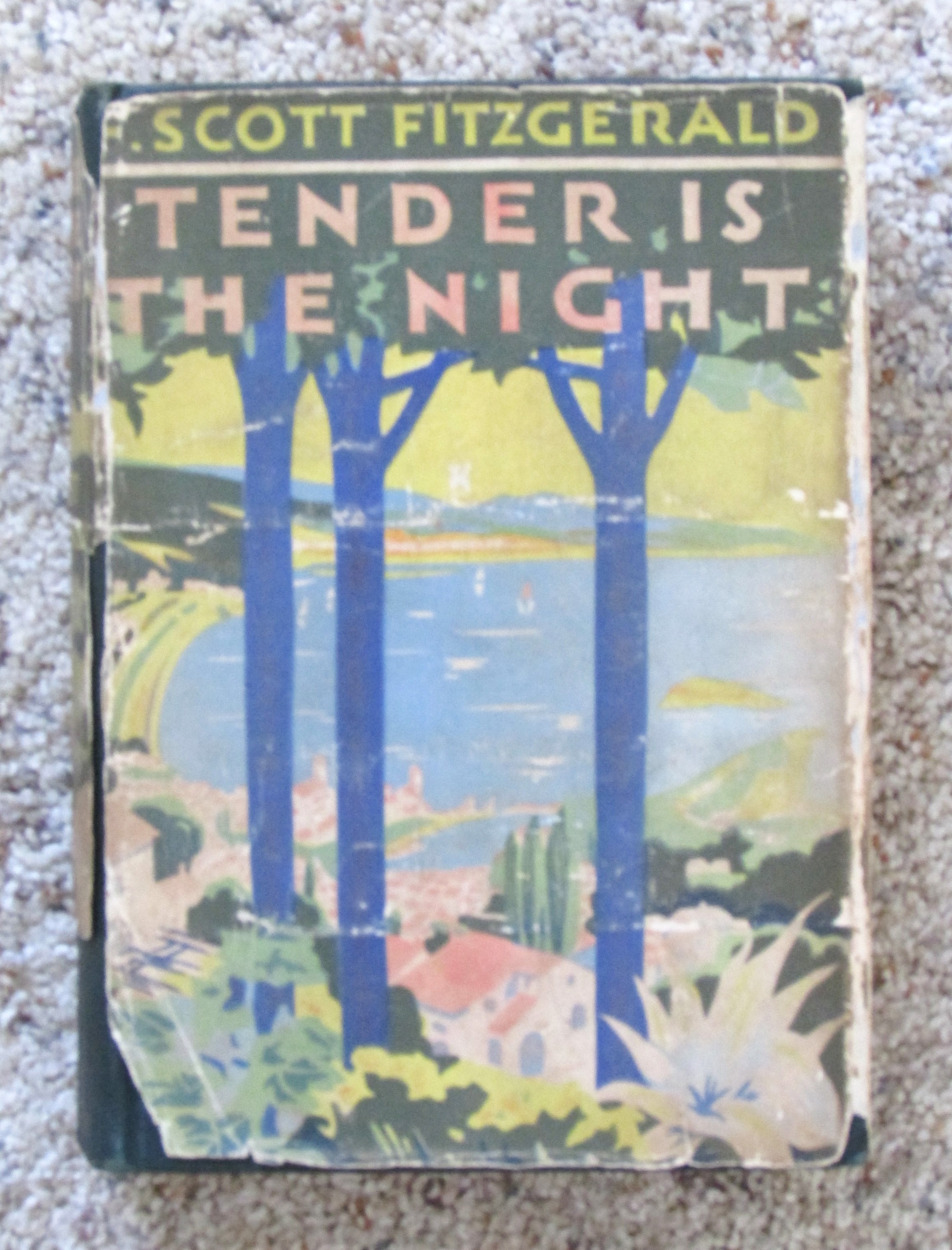 Cover for Tender Is the Night